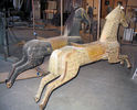 Primitive Horses Showing Manes and Tails
